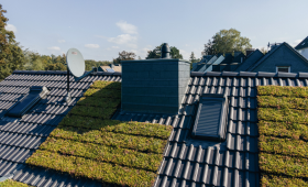 Lennart-rau-bedachungen-leistungen-dachbegrünung-1