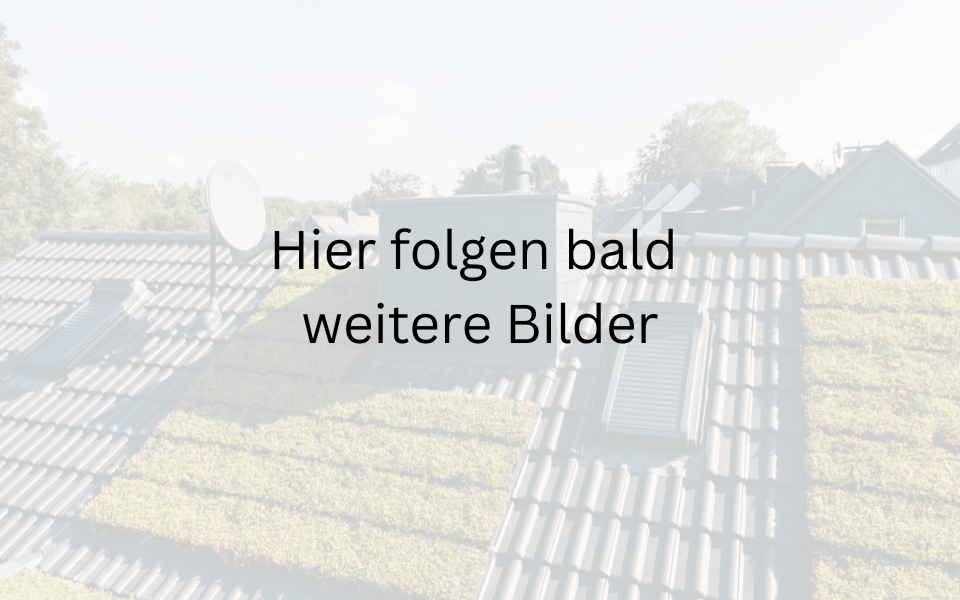 Lennart-rau-bedachungen-startseite-referenz-2-hilden